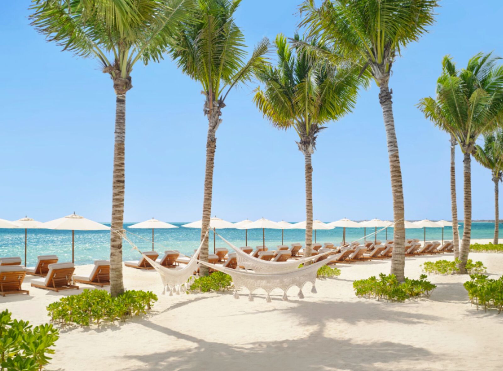 Beach Club junto al mar